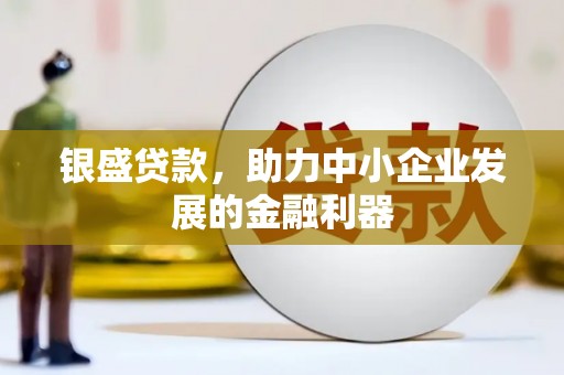 平舆银盛贷款，助力中小企业发展的金融利器