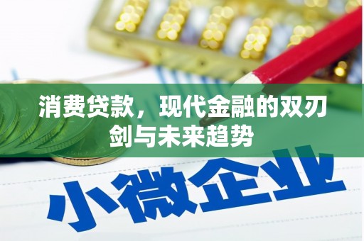平舆消费贷款，现代金融的双刃剑与未来趋势