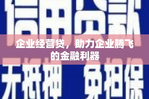平舆企业经营贷，助力企业腾飞的金融利器