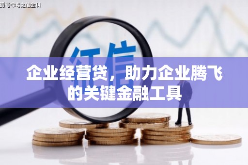 平舆企业经营贷，助力企业腾飞的关键金融工具