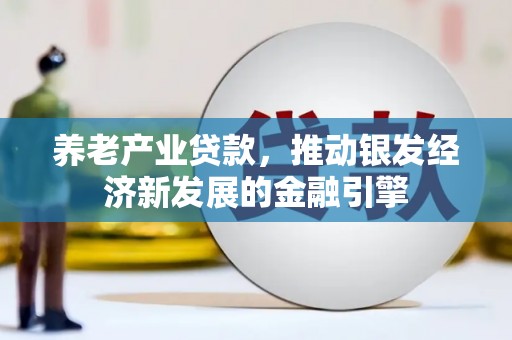 平舆养老产业贷款，推动银发经济新发展的金融引擎