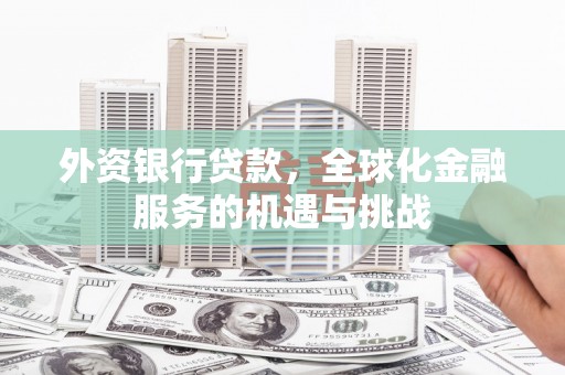平舆外资银行贷款，全球化金融服务的机遇与挑战