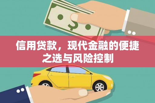平舆信用贷款，现代金融的便捷之选与风险控制