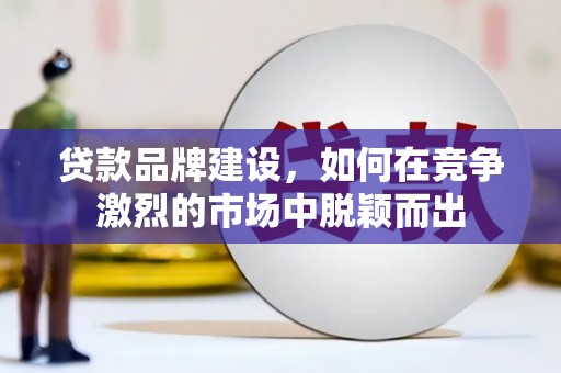 平舆贷款品牌建设，如何在竞争激烈的市场中脱颖而出