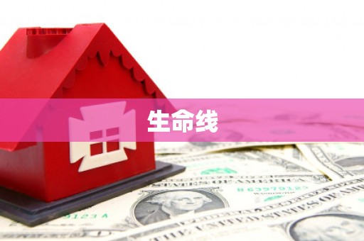 平舆生命线