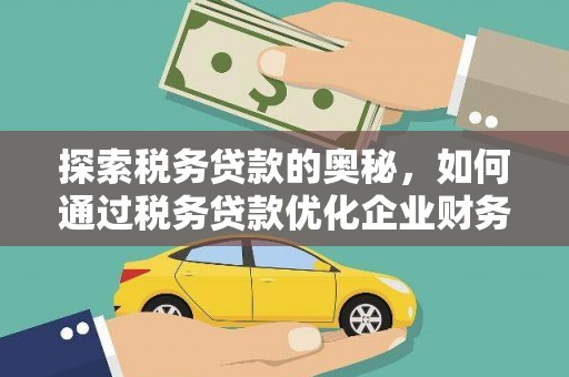 平舆探索税务贷款的奥秘，如何通过税务贷款优化企业财务