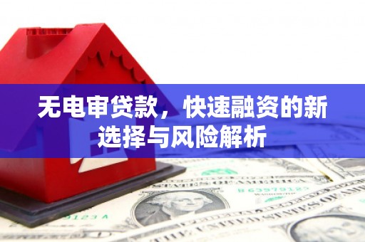 平舆无电审贷款，快速融资的新选择与风险解析