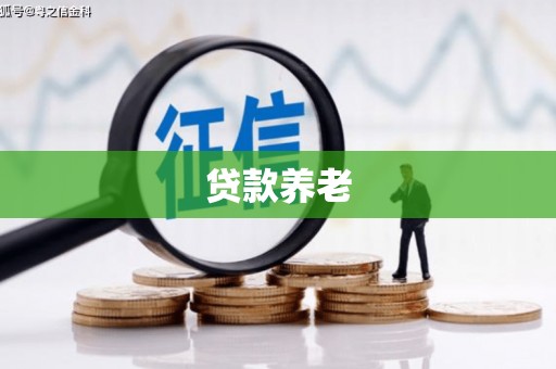 平舆贷款养老