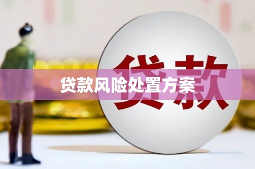 平舆贷款风险处置方案