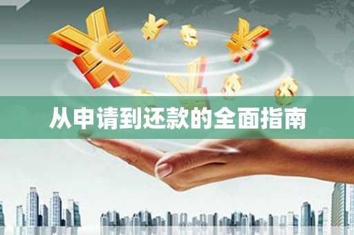 平舆从申请到还款的全面指南