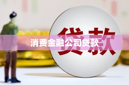 平舆消费金融公司贷款