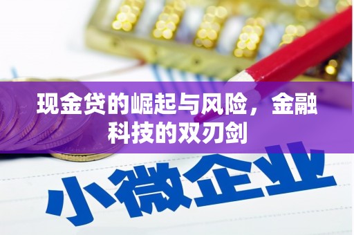 平舆现金贷的崛起与风险，金融科技的双刃剑
