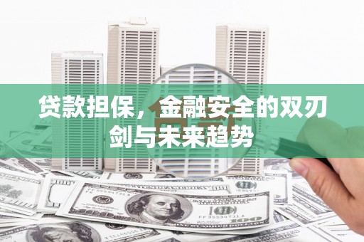 平舆贷款担保，金融安全的双刃剑与未来趋势
