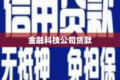 平舆金融科技公司贷款
