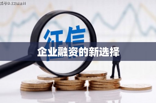 平舆企业融资的新选择