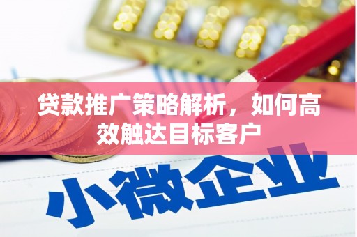 平舆贷款推广策略解析，如何高效触达目标客户