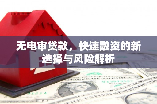平舆无电审贷款，快速融资的新选择与风险解析
