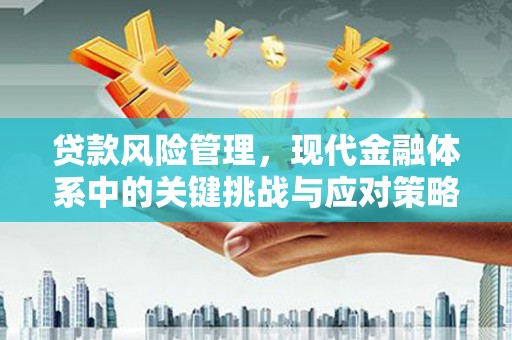 平舆贷款风险管理，现代金融体系中的关键挑战与应对策略