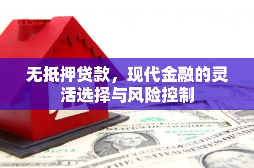平舆无抵押贷款，现代金融的灵活选择与风险控制