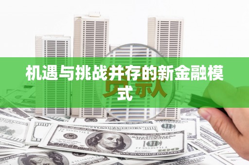 平舆机遇与挑战并存的新金融模式