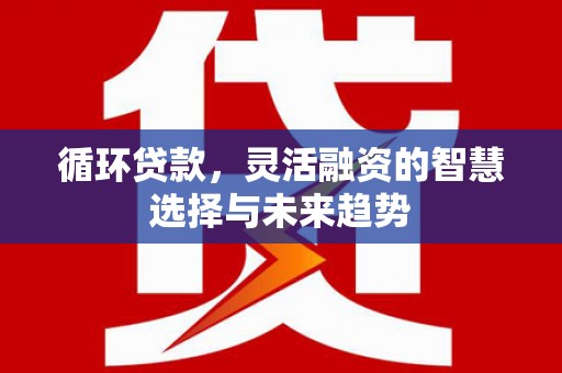 平舆循环贷款，灵活融资的智慧选择与未来趋势