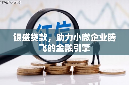 平舆银盛贷款，助力小微企业腾飞的金融引擎