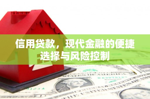 平舆信用贷款，现代金融的便捷选择与风险控制