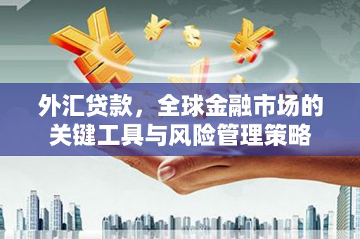 平舆外汇贷款，全球金融市场的关键工具与风险管理策略