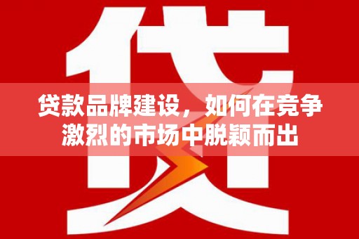 平舆贷款品牌建设，如何在竞争激烈的市场中脱颖而出