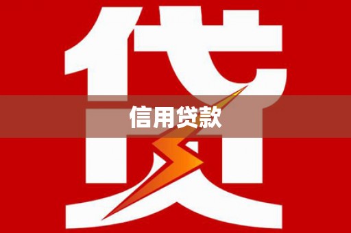 平舆信用贷款