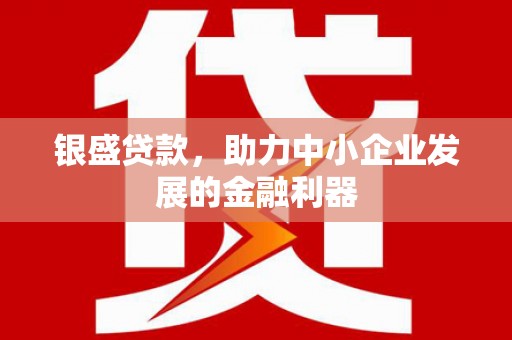 平舆银盛贷款，助力中小企业发展的金融利器