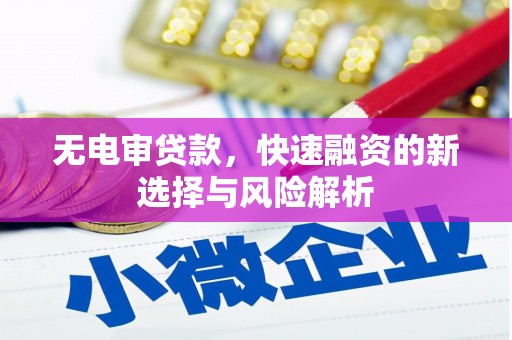 平舆无电审贷款，快速融资的新选择与风险解析