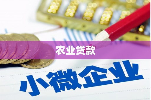 平舆农业贷款