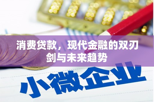 平舆消费贷款，现代金融的双刃剑与未来趋势
