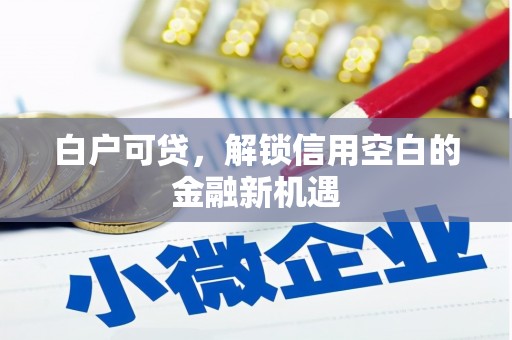平舆白户可贷，解锁信用空白的金融新机遇