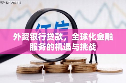平舆外资银行贷款，全球化金融服务的机遇与挑战