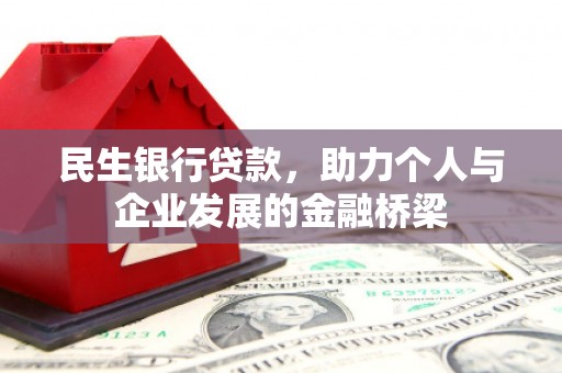 平舆民生银行贷款，助力个人与企业发展的金融桥梁
