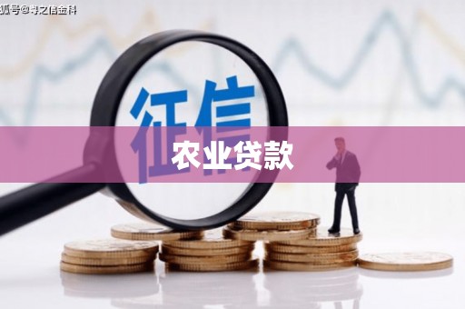 平舆农业贷款