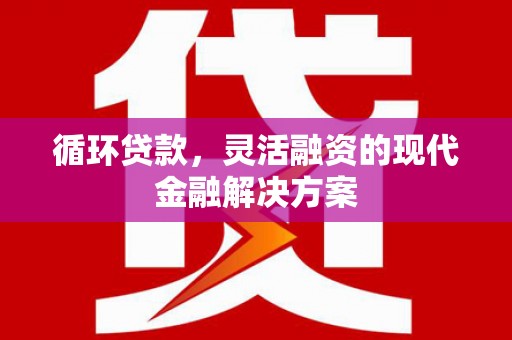 平舆循环贷款，灵活融资的现代金融解决方案