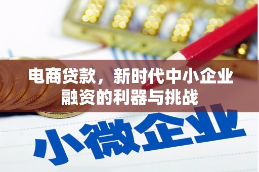 平舆电商贷款，新时代中小企业融资的利器与挑战