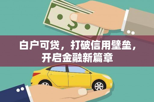 平舆白户可贷，打破信用壁垒，开启金融新篇章