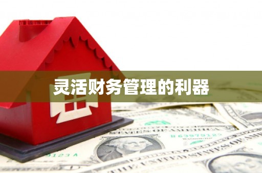 平舆灵活财务管理的利器