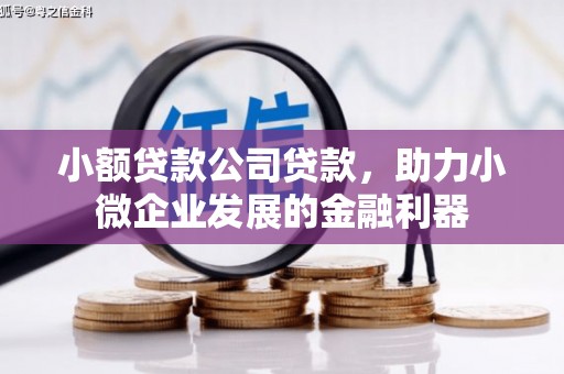平舆小额贷款公司贷款，助力小微企业发展的金融利器