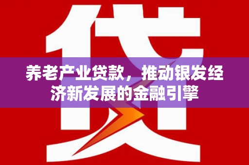 平舆养老产业贷款，推动银发经济新发展的金融引擎