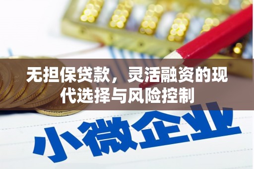 平舆无担保贷款，灵活融资的现代选择与风险控制
