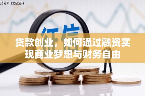 平舆贷款创业，如何通过融资实现商业梦想与财务自由