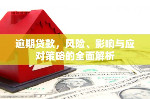 平舆逾期贷款，风险、影响与应对策略的全面解析