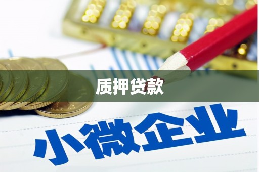 平舆质押贷款