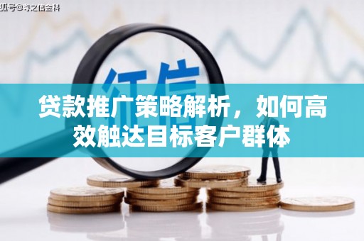 平舆贷款推广策略解析，如何高效触达目标客户群体