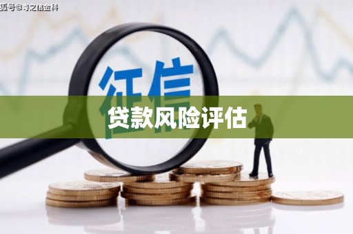 平舆贷款风险评估